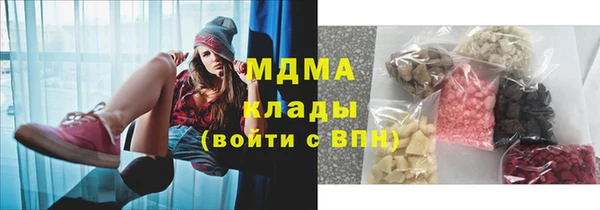 твердый Гусев