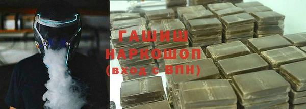 твердый Гусев
