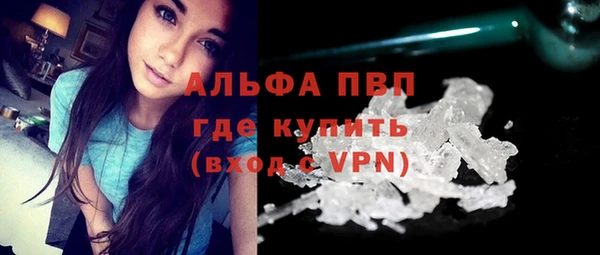 PSILOCYBIN Щучье