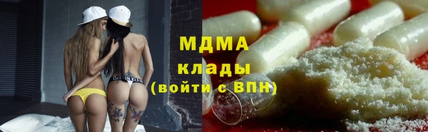 твердый Гусев