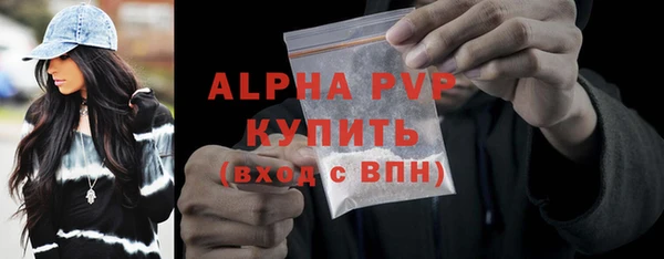 дживик Гусь-Хрустальный