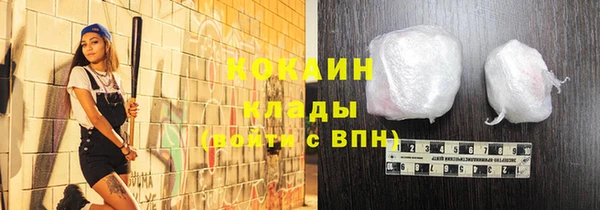 дживик Гусь-Хрустальный