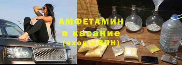 твердый Гусев