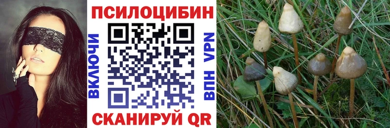 darknet официальный сайт  Окуловка  Галлюциногенные грибы прущие грибы 
